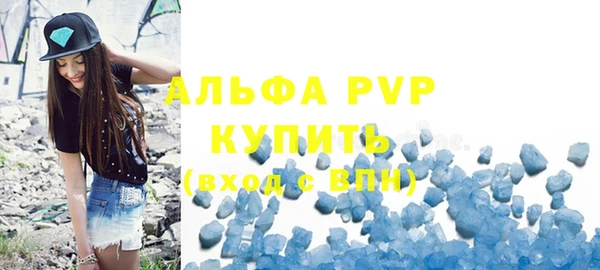 молекула духа Вяземский