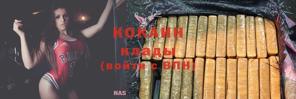 молекула духа Вяземский