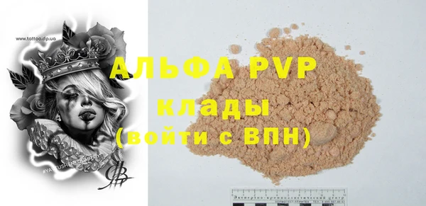 молекула духа Вяземский