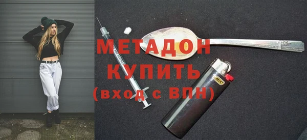молекула духа Вяземский