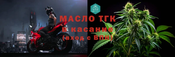 молекула духа Вяземский