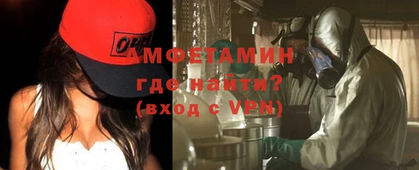 молекула духа Вяземский