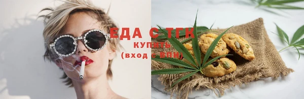 молекула духа Вяземский
