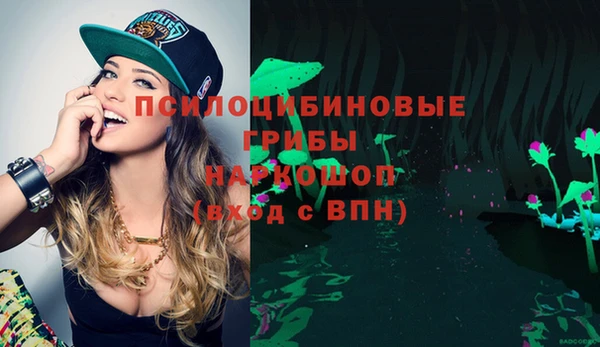 молекула духа Вяземский
