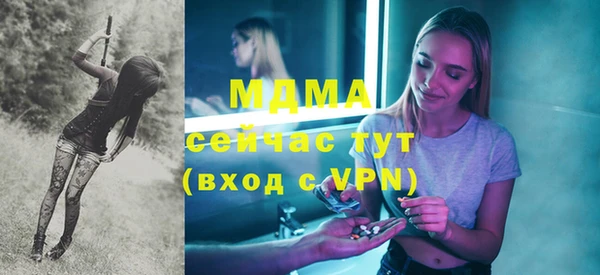 молекула духа Вяземский